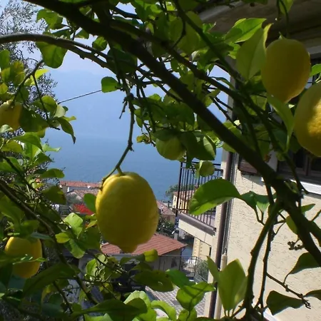 Gemuetliche Ferienwohnung In Cassone Di Mit Garten Apartment Malcesine