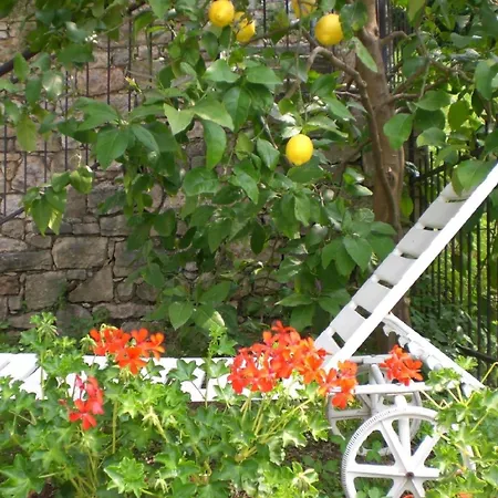 Apartment Gemuetliche Ferienwohnung In Cassone Di Mit Garten